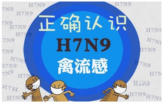 河北中药柜简析H7N9禽流感